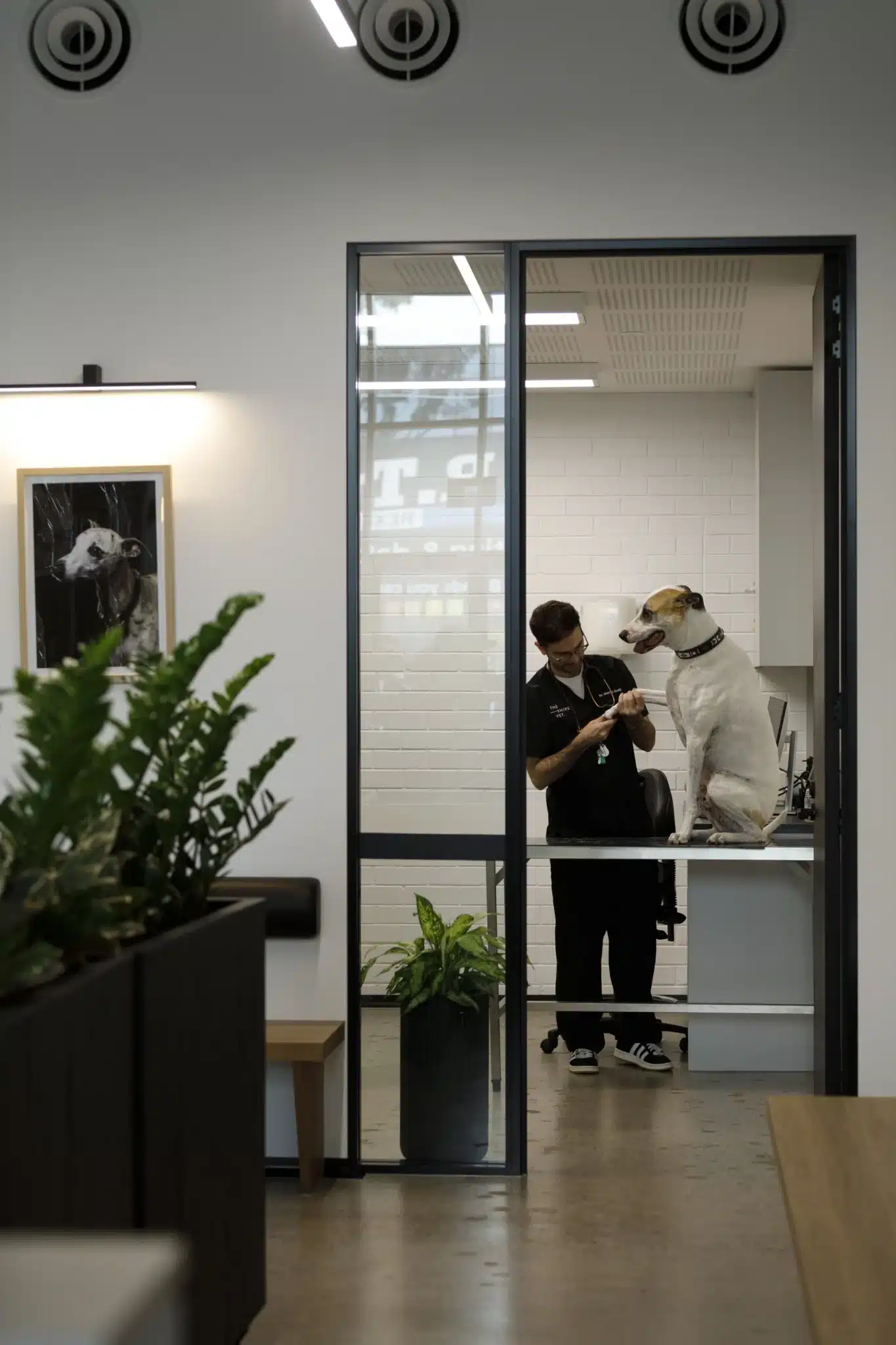 Specialist Veterinarian Fitouts | Cliniplex Medical Fitouts Perth