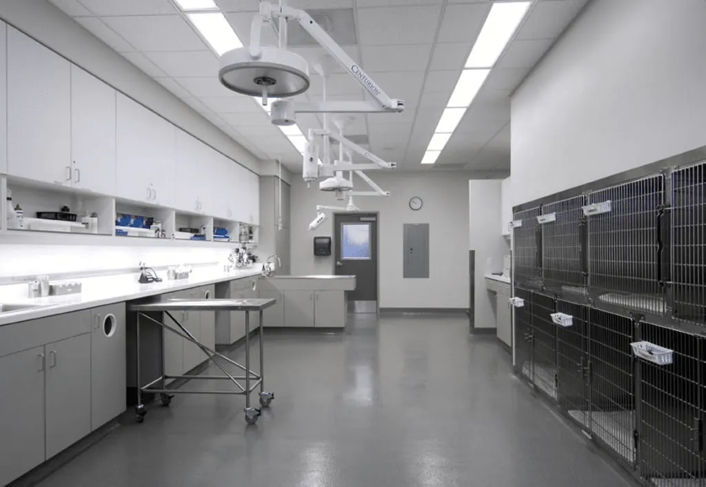 Veterinarian Fitouts | Cliniplex Medical Fitouts Perth